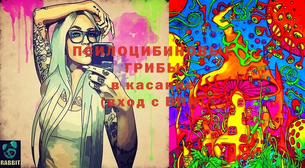 спиды Аркадак